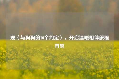 观〈与狗狗的10个约定〉，开启温暖相伴旅程有感