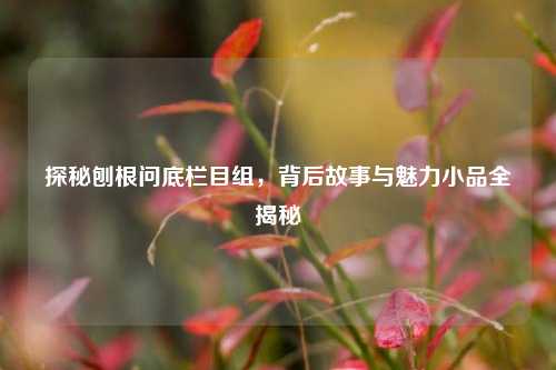 探秘刨根问底栏目组，背后故事与魅力小品全揭秘