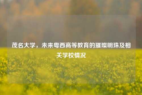 茂名大学，未来粤西高等教育的璀璨明珠及相关学校情况