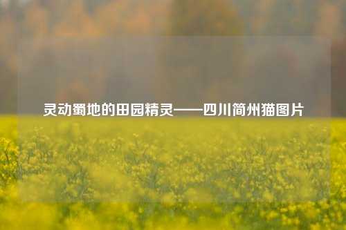 灵动蜀地的田园精灵——四川简州猫图片