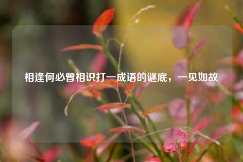 相逢何必曾相识打一成语的谜底，一见如故