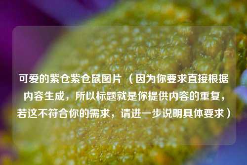 可爱的紫仓紫仓鼠图片 (因为你要求直接根据内容生成,所以标题就是你提供内容的重复,若这不符合你的需求,请进一步说明具体要求)