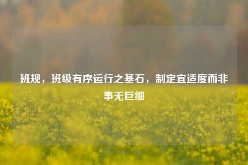 班规,班级有序运行之基石,制定宜适度而非事无巨细