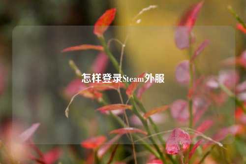 怎样登录Steam外服