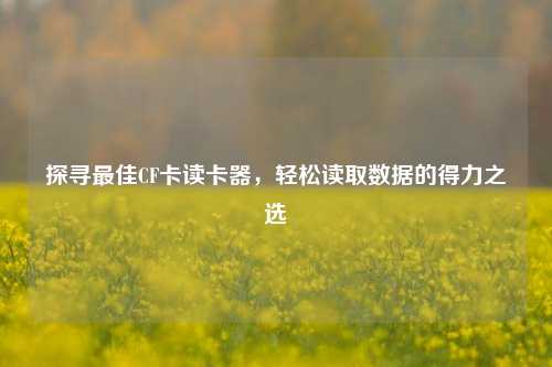探寻最佳CF卡读卡器，轻松读取数据的得力之选