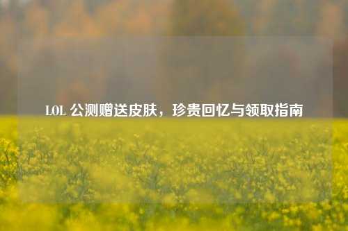 LOL 公测赠送皮肤，珍贵回忆与领取指南