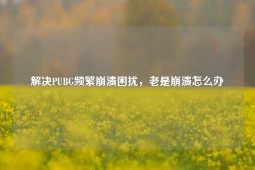 解决PUBG频繁崩溃困扰，老是崩溃怎么办