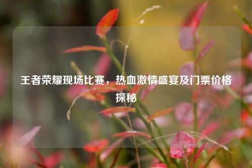 王者荣耀现场比赛，热血激情盛宴及门票价格探秘