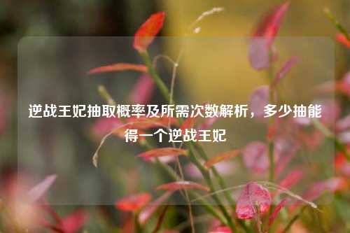 逆战王妃抽取概率及所需次数解析，多少抽能得一个逆战王妃