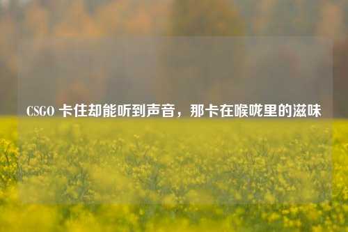 CSGO 卡住却能听到声音，那卡在喉咙里的滋味