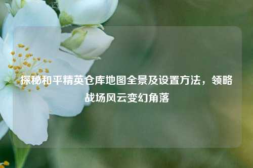 探秘和平精英仓库地图全景及设置方法，领略战场风云变幻角落