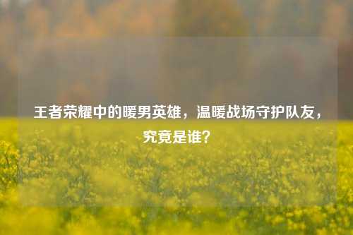 王者荣耀中的暖男英雄，温暖战场守护队友，究竟是谁？