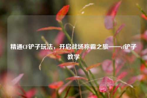 精通CF铲子玩法，开启战场称霸之旅——cf铲子教学