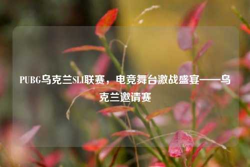 PUBG乌克兰SLI联赛，电竞舞台激战盛宴——乌克兰邀请赛