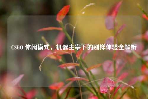 CSGO 休闲模式，机器主宰下的别样体验全解析