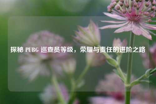 探秘 PUBG 巡查员等级，荣耀与责任的进阶之路