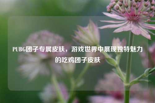 PUBG团子专属皮肤，游戏世界中展现独特魅力的吃鸡团子皮肤