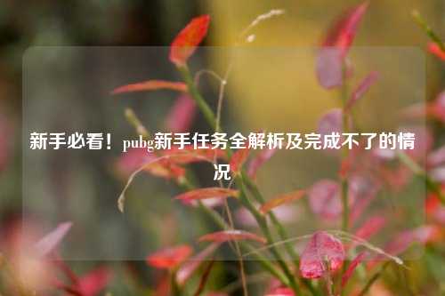 新手必看！pubg新手任务全解析及完成不了的情况