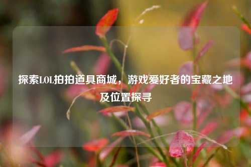 探索LOL拍拍道具商城，游戏爱好者的宝藏之地及位置探寻