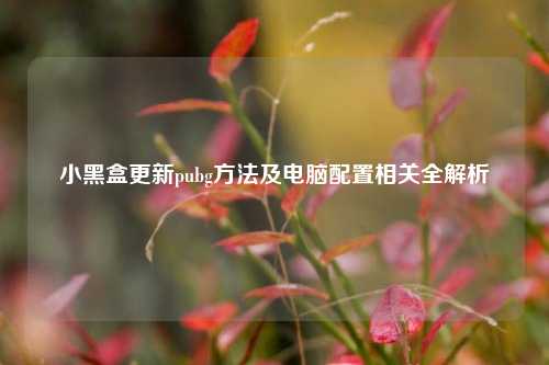 小黑盒更新pubg方法及电脑配置相关全解析