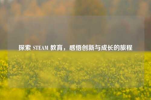 探索 STEAM 教育，感悟创新与成长的旅程