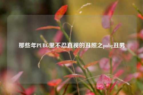 那些年PUBG里不忍直视的丑照之pubg丑男