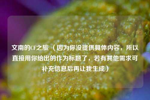 文南的CF之旅 （因为你没提供具体内容，所以直接用你给出的作为标题了，若有其他需求可补充信息后再让我生成）
