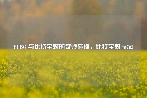 PUBG 与比特宝莉的奇妙碰撞，比特宝莉 m762