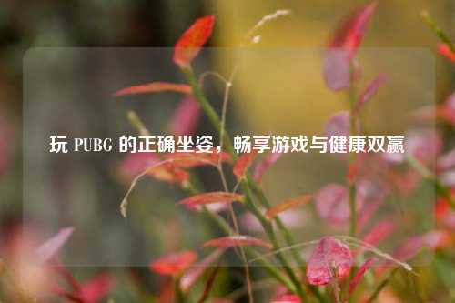 玩 PUBG 的正确坐姿,畅享游戏与健康双赢