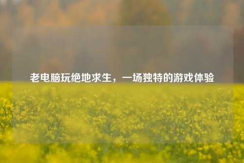 老电脑玩绝地求生，一场独特的游戏体验