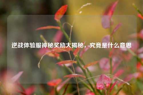 逆战体验服神秘奖励大揭秘，究竟是什么意思