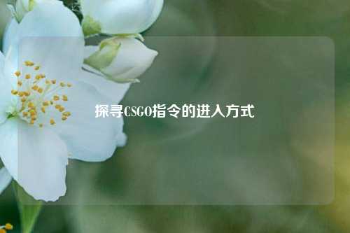 探寻CSGO指令的进入方式
