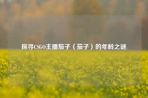 探寻CSGO主播笳子（茄子）的年龄之谜