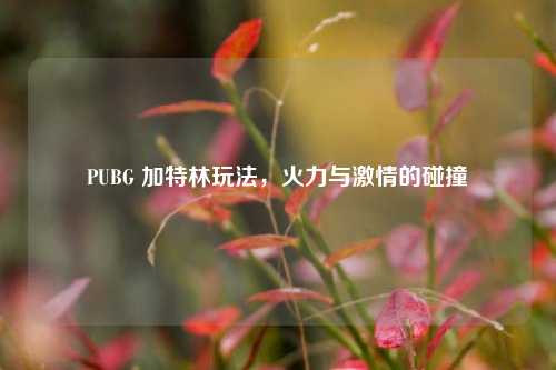 PUBG 加特林玩法，火力与激情的碰撞