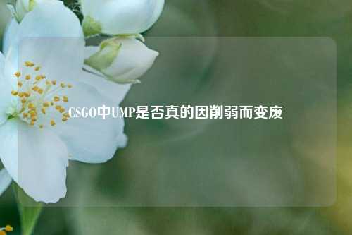 CSGO中UMP是否真的因削弱而变废