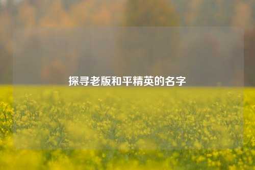 探寻老版和平精英的名字