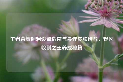 王者荣耀阿轲设置指南与最佳皮肤推荐，野区收割之王养成秘籍