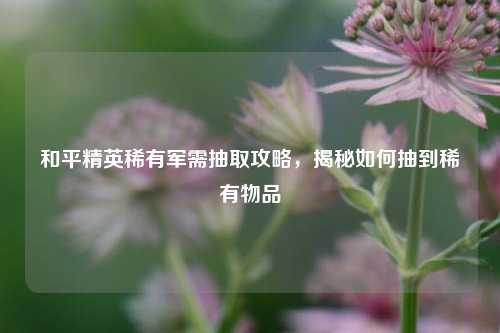 和平精英稀有军需抽取攻略，揭秘如何抽到稀有物品
