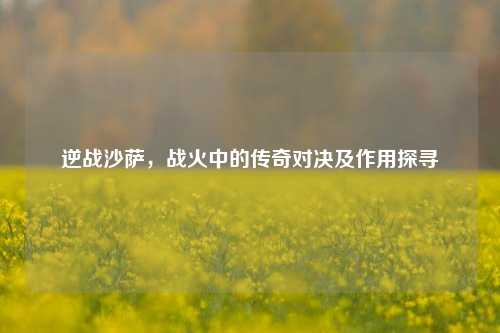 逆战沙萨，战火中的传奇对决及作用探寻