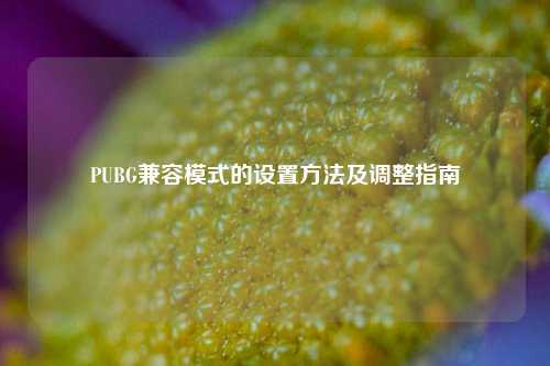 PUBG兼容模式的设置方法及调整指南