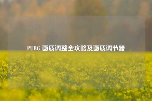PUBG 画质调整全攻略及画质调节器