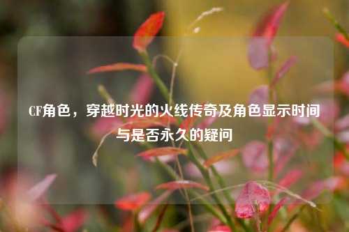 CF角色，穿越时光的火线传奇及角色显示时间与是否永久的疑问