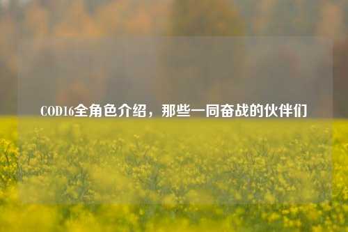 COD16全角色介绍,那些一同奋战的伙伴们