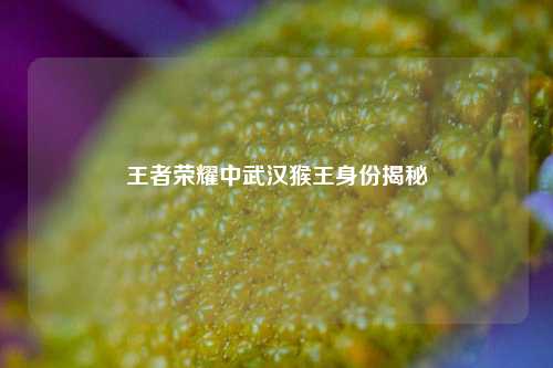 王者荣耀中武汉猴王身份揭秘