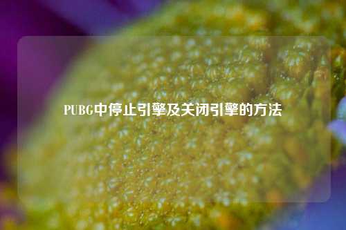 PUBG中停止引擎及关闭引擎的方法