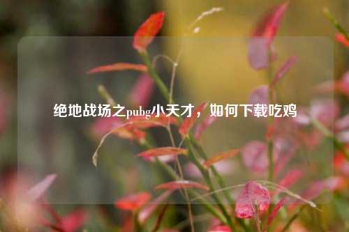 绝地战场之pubg小天才,如何下载吃鸡