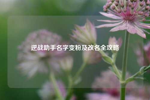 逆战助手名字变粉及改名全攻略