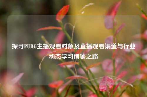 探寻PUBG主播观看对象及直播观看渠道与行业动态学习借鉴之路