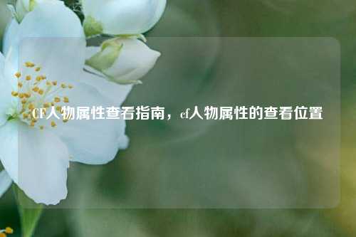 CF人物属性查看指南，cf人物属性的查看位置