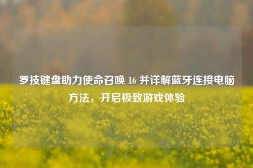 罗技键盘助力使命召唤 16 并详解蓝牙连接电脑方法,开启极致游戏体验